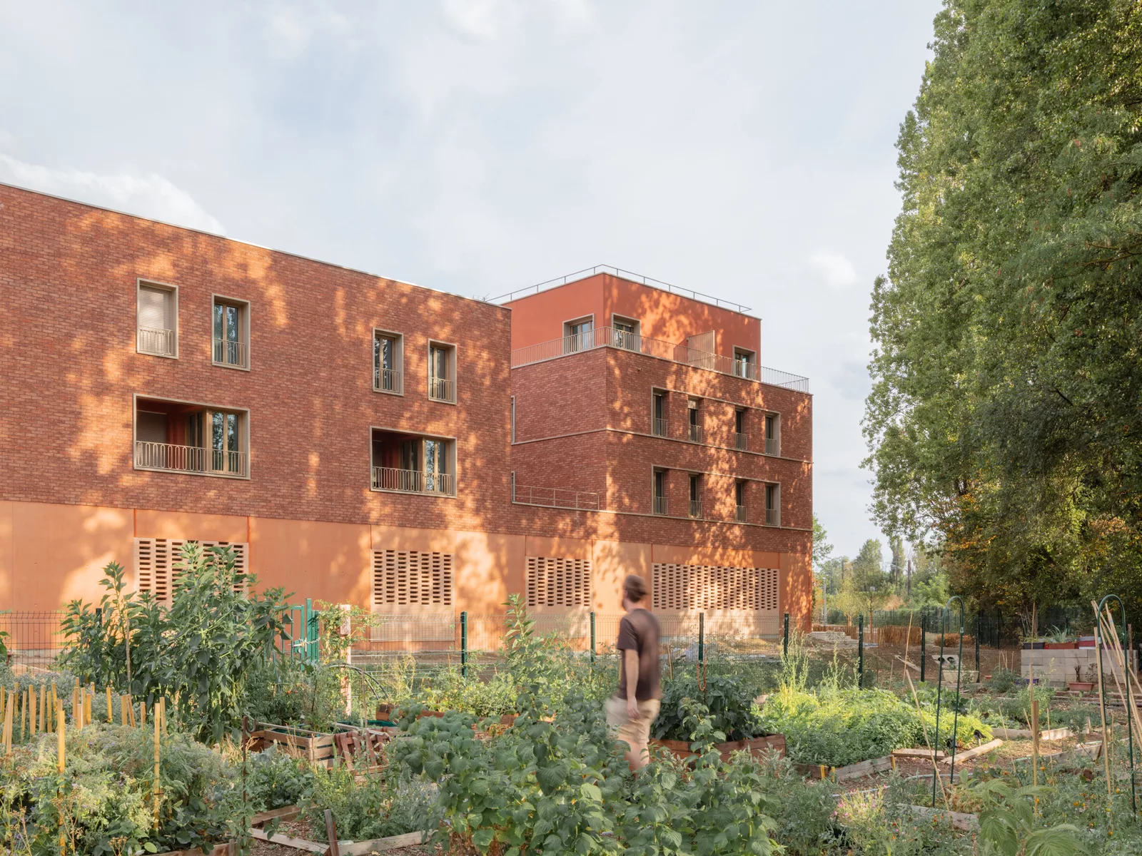 54 logements, crèche et PMI, Sucy-en-Brie