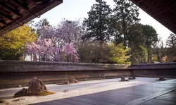 Jardin du temple Ryoan-ji - Kyoto